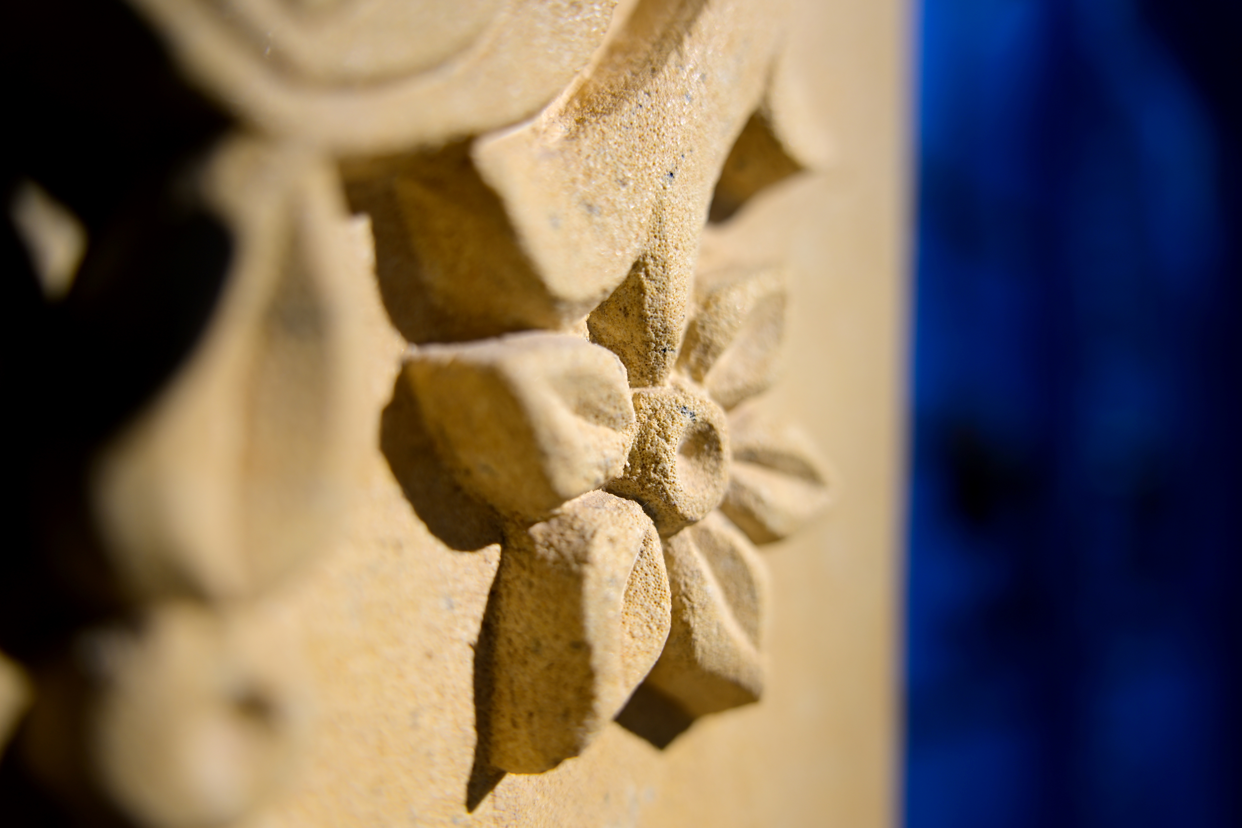 A063z daisuke fujimura citysnap13 20240207