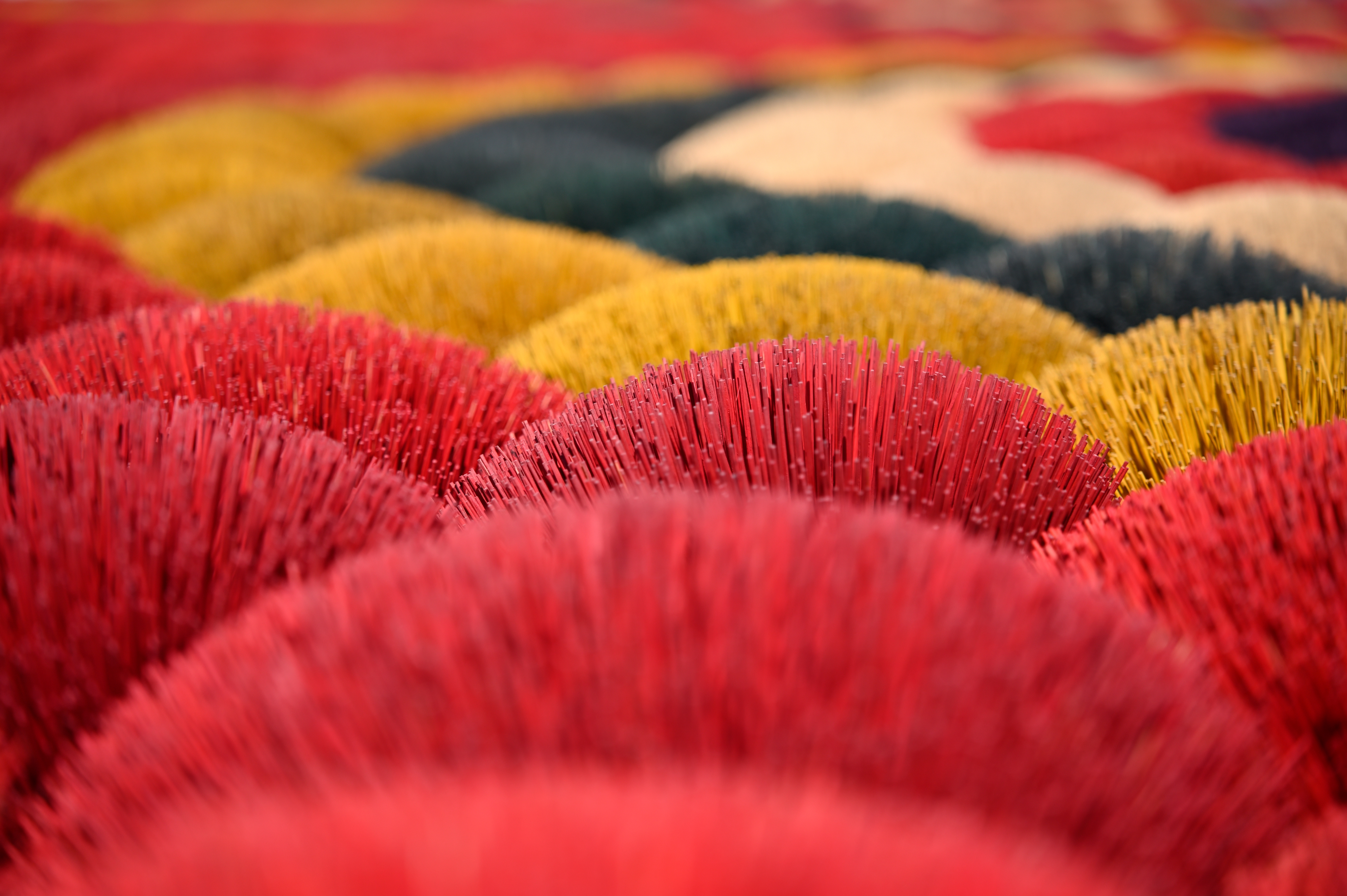 A063z noriko kukimoto snap09 20240207