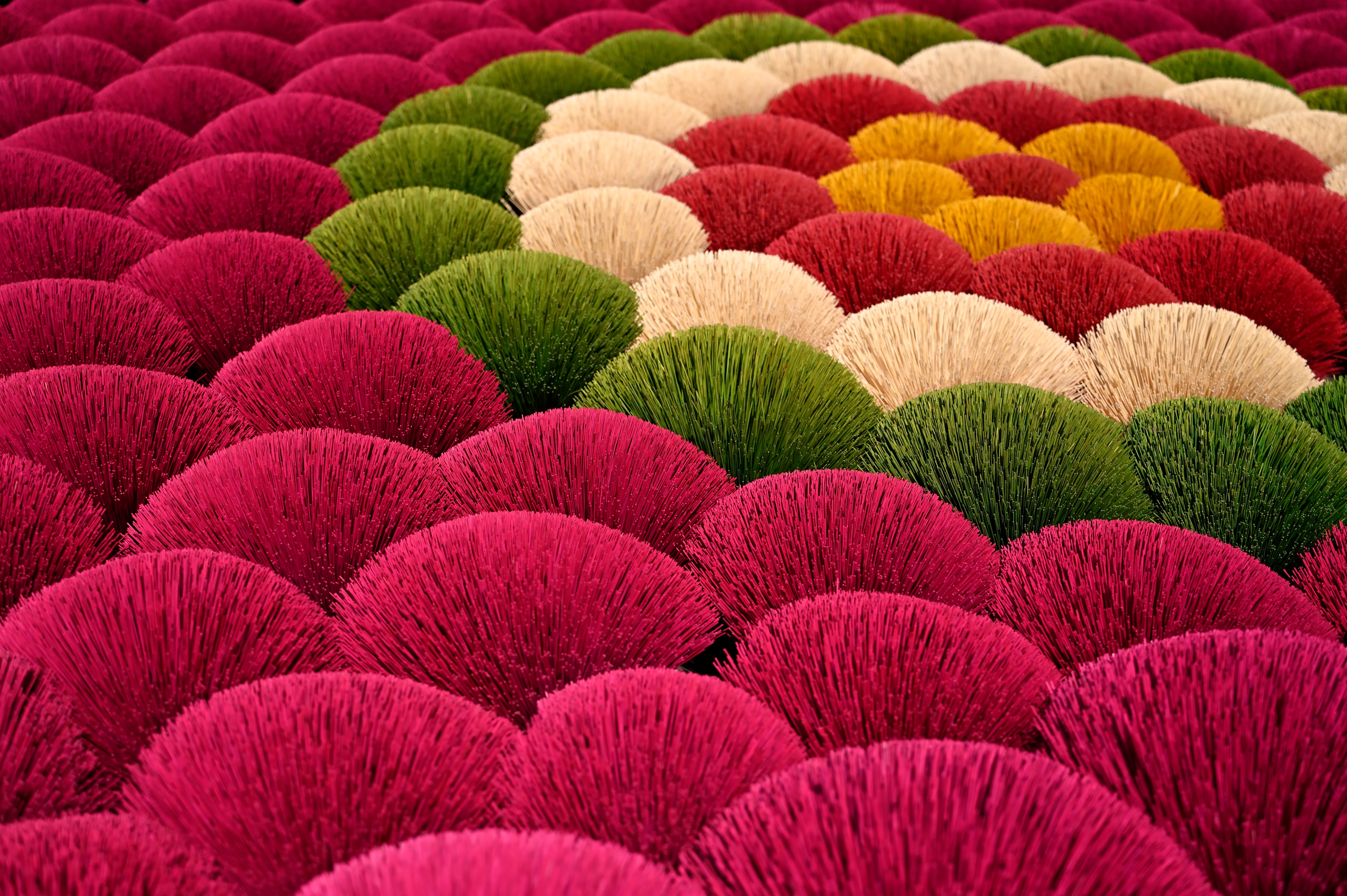 A063z noriko kukimoto snap10 20240207